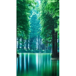 高清风景283