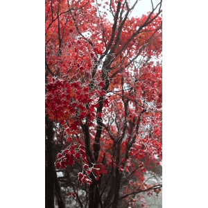 高清风景286