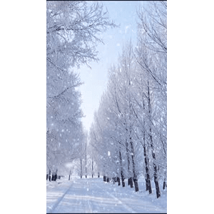 高清风景297