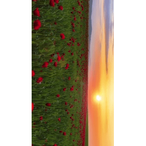 高清风景298