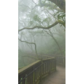 高清风景307