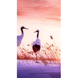 高清风景308