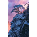 高清风景309