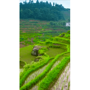 高清风景310