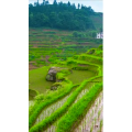 高清风景310