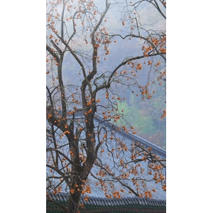 高清风景313