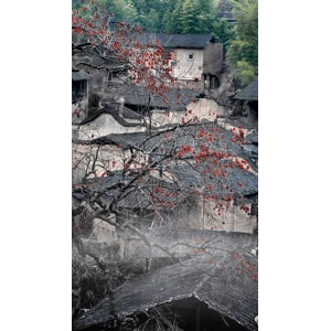 高清风景319