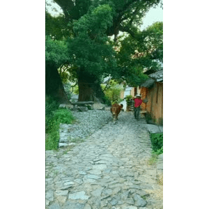 高清风景327