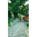 高清风景327