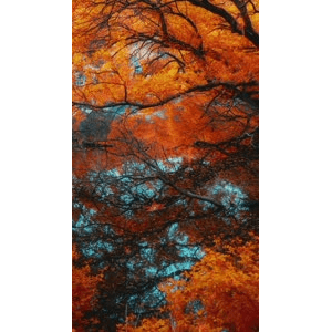 高清风景328