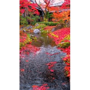 高清风景331