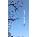 高清风景332