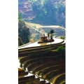 高清风景337