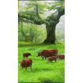 高清风景340