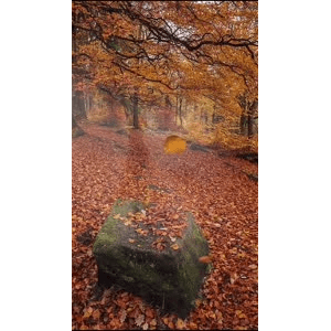 高清风景349