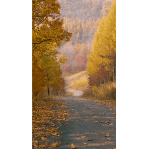 高清风景350