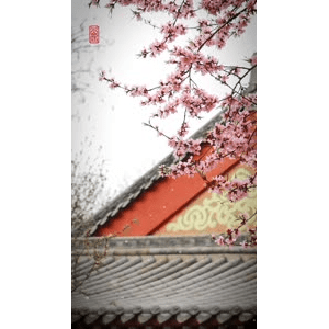 高清风景359