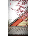 高清风景359