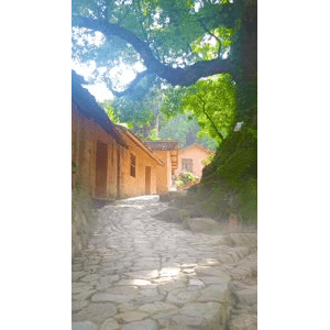 高清风景362