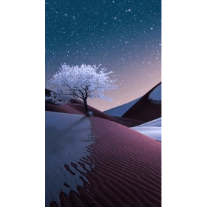 高清风景363
