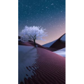 高清风景363