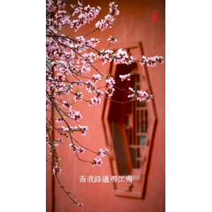 高清风景366