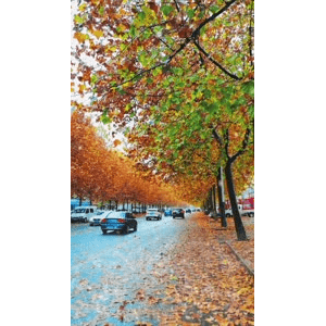 高清风景368