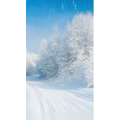 高清风景369