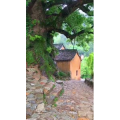 高清风景370