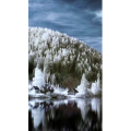 高清风景371