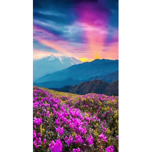 高清风景372