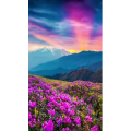 高清风景372