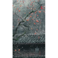 高清风景374