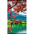 高清风景375