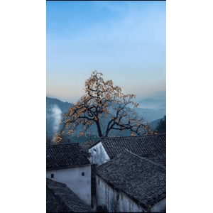 高清风景395
