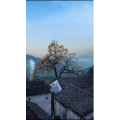 高清风景395