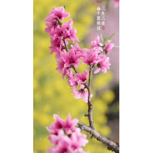 高清风景396