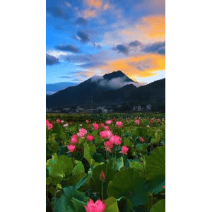 高清风景407