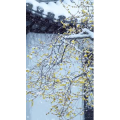 高清风景412