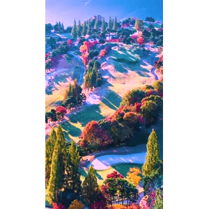 高清风景423