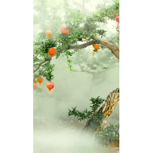 高清风景424