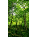 高清风景432