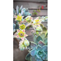 高清风景436