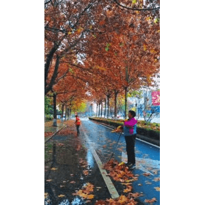 高清风景449