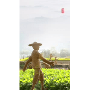 高清风景456