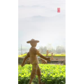高清风景456