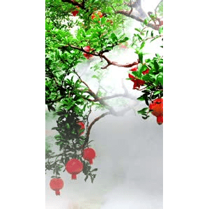 高清风景457