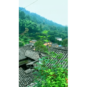 高清风景463