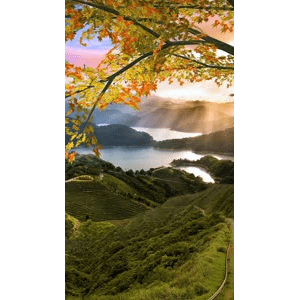 高清风景464