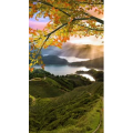 高清风景464